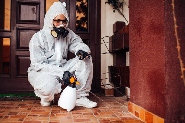 Reliable Bed Bug Control contractor in Lake Kerr, FL by Nex Pest Control