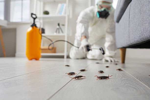 Trusted Cockroach Control service in Lake Kerr, FL - Nex Pest Control